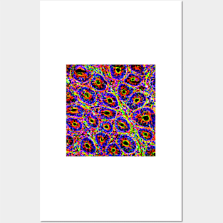 Intestinal villi, fluorescent micrograph (C024/3480) Posters and Art